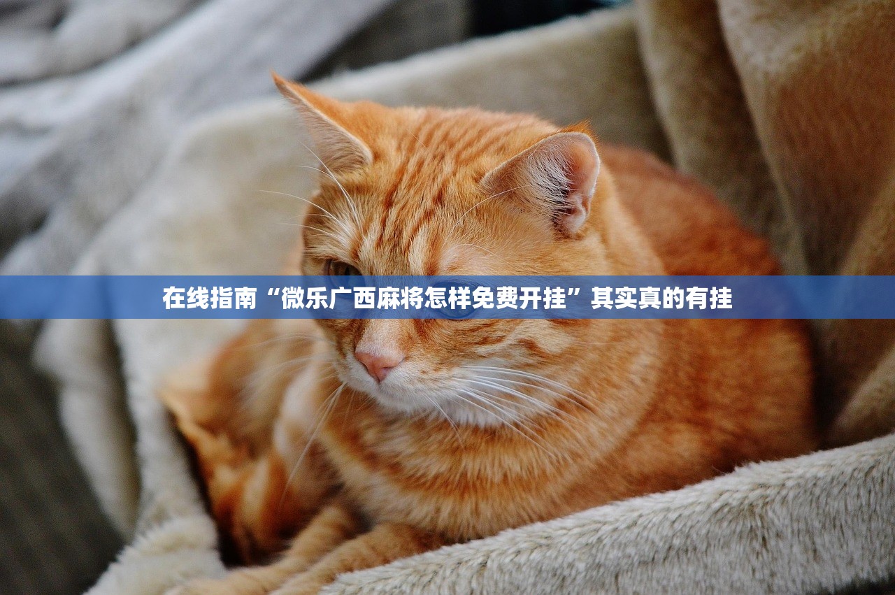 在线指南“微乐广西麻将怎样免费开挂	”其实真的有挂
