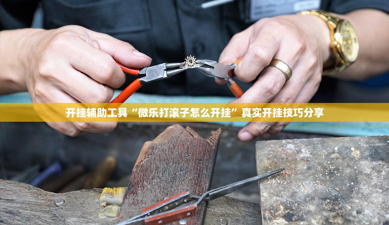 开挂辅助工具“微乐打滚子怎么开挂”真实开挂技巧分享