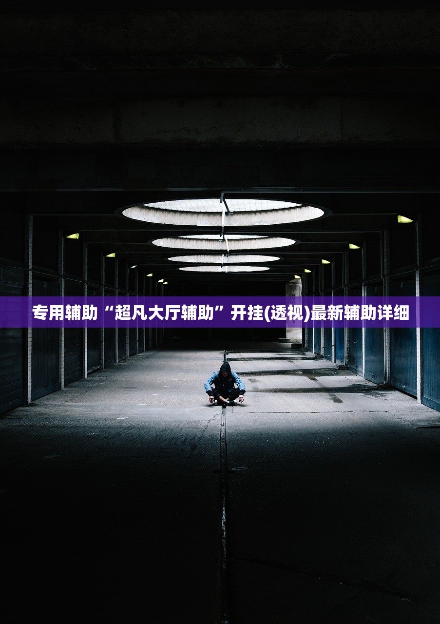 专用辅助“超凡大厅辅助”开挂(透视)最新辅助详细