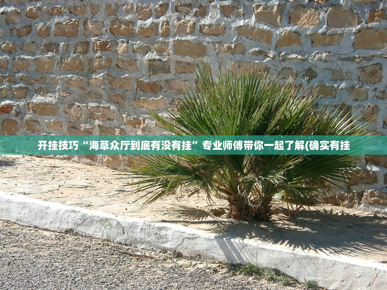 开挂技巧“海草众厅到底有没有挂	”专业师傅带你一起了解(确实有挂