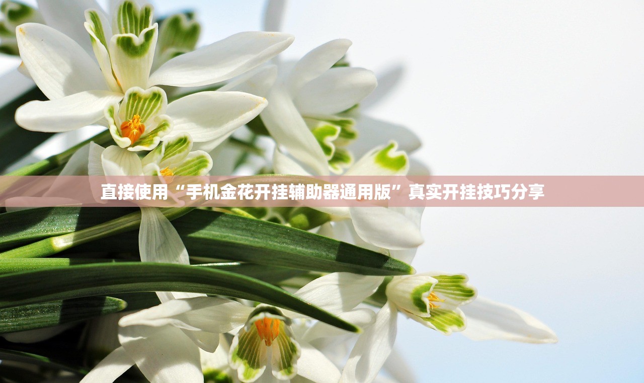 直接使用“手机金花开挂辅助器通用版”真实开挂技巧分享