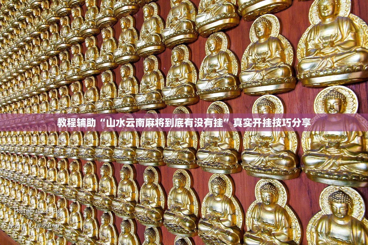 教程辅助“山水云南麻将到底有没有挂	”真实开挂技巧分享