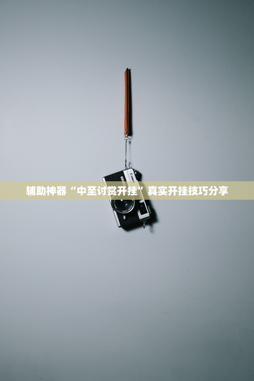 辅助神器“中至讨赏开挂”真实开挂技巧分享