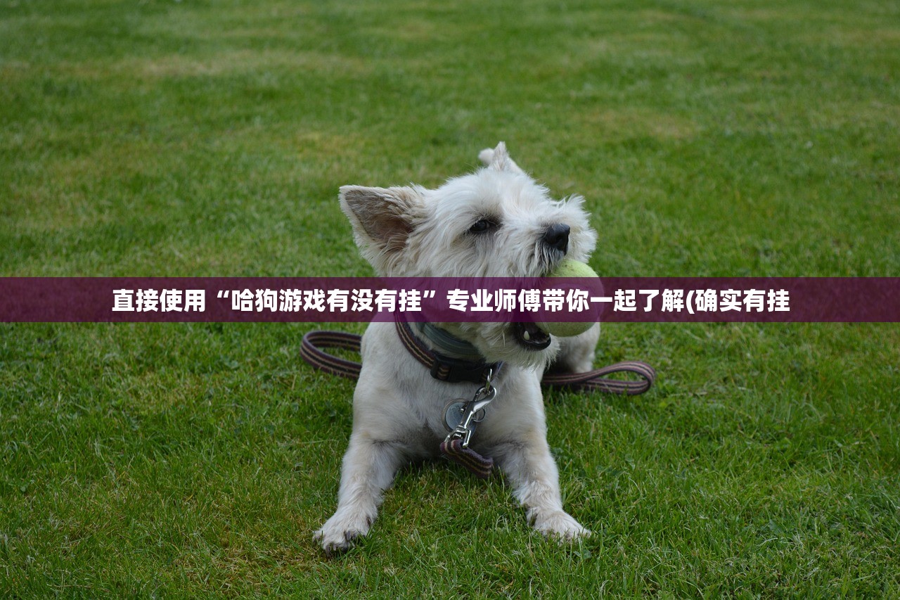 直接使用“哈狗游戏有没有挂”专业师傅带你一起了解(确实有挂