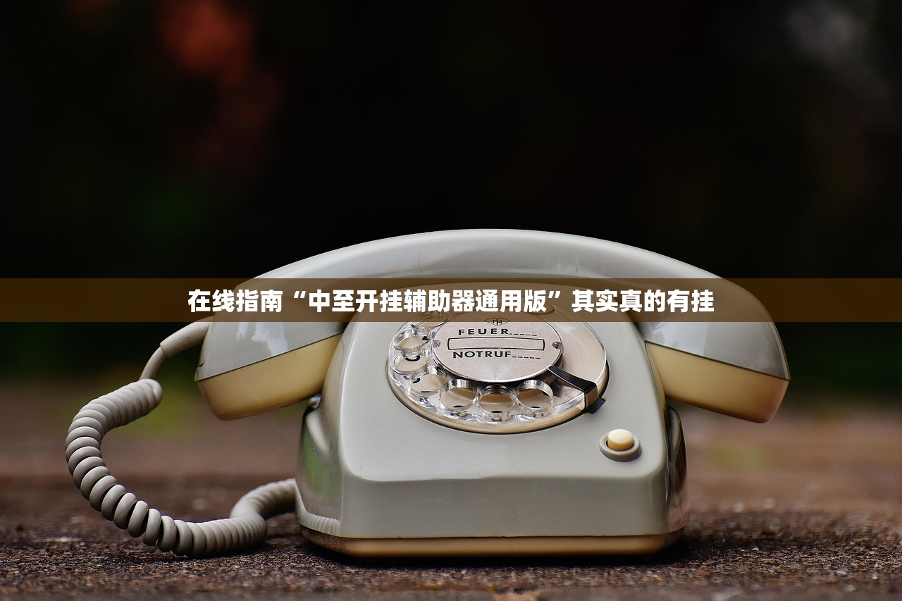 在线指南“中至开挂辅助器通用版”其实真的有挂