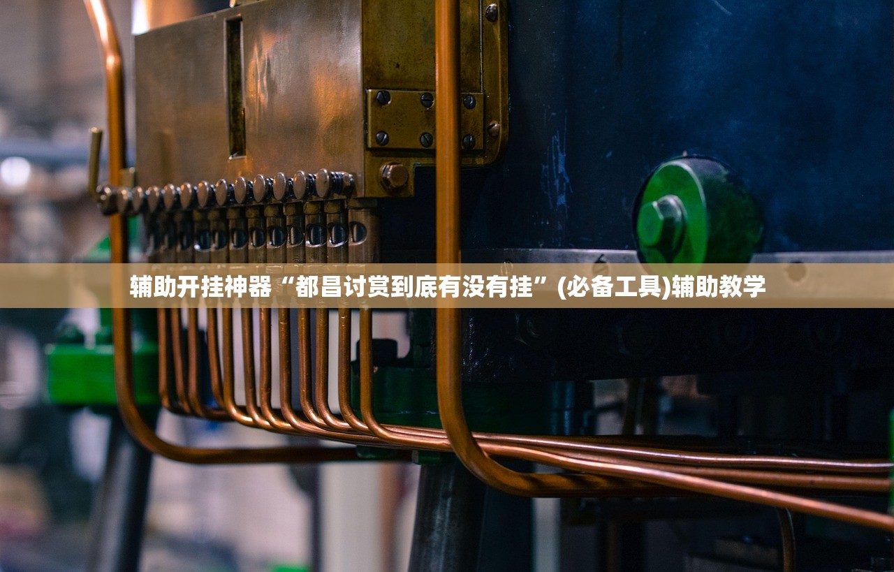 辅助开挂神器“都昌讨赏到底有没有挂”(必备工具)辅助教学