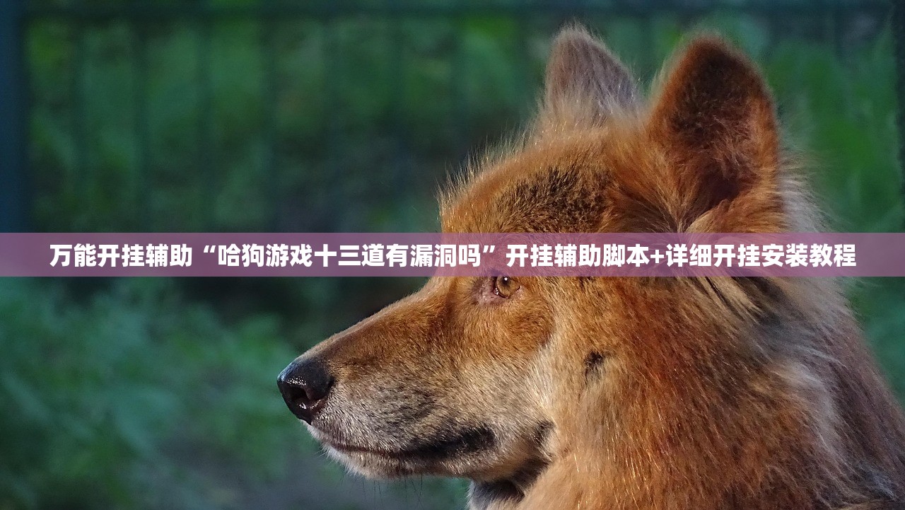 万能开挂辅助“哈狗游戏十三道有漏洞吗	”开挂辅助脚本+详细开挂安装教程