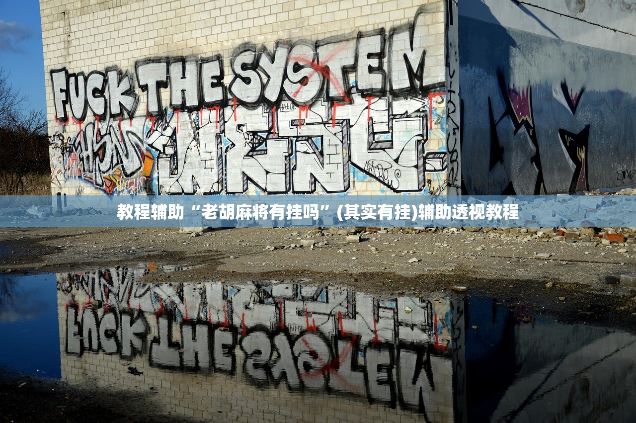 教程辅助“老胡麻将有挂吗”(其实有挂)辅助透视教程