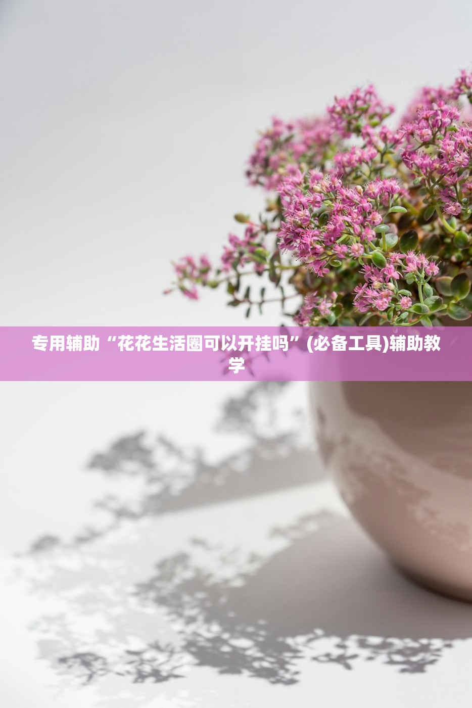专用辅助“花花生活圈可以开挂吗	”(必备工具)辅助教学
