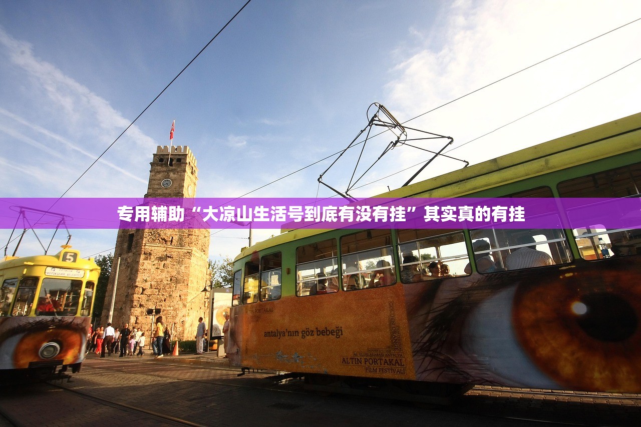 专用辅助“大凉山生活号到底有没有挂”其实真的有挂