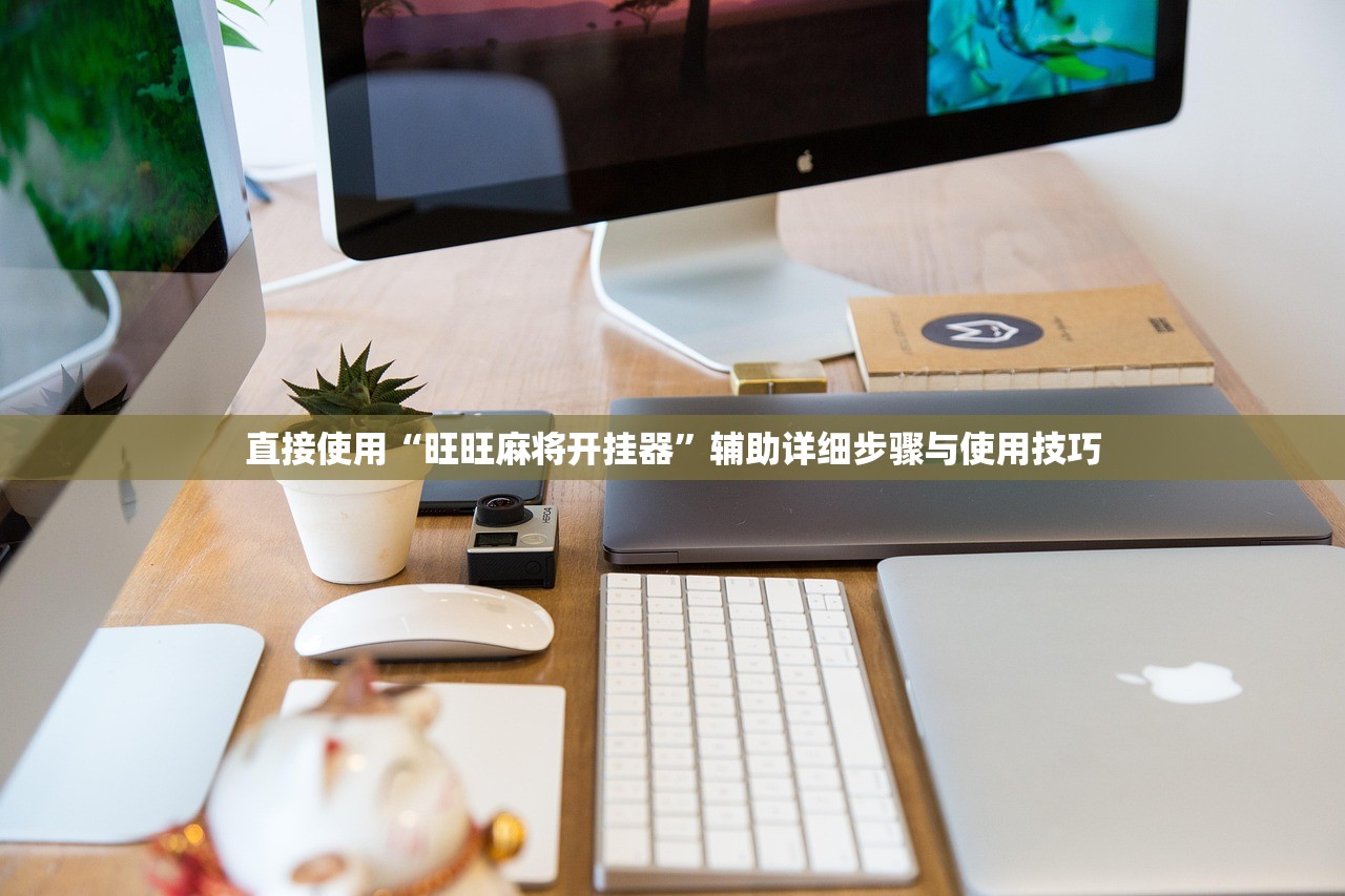 直接使用“旺旺麻将开挂器	”辅助详细步骤与使用技巧